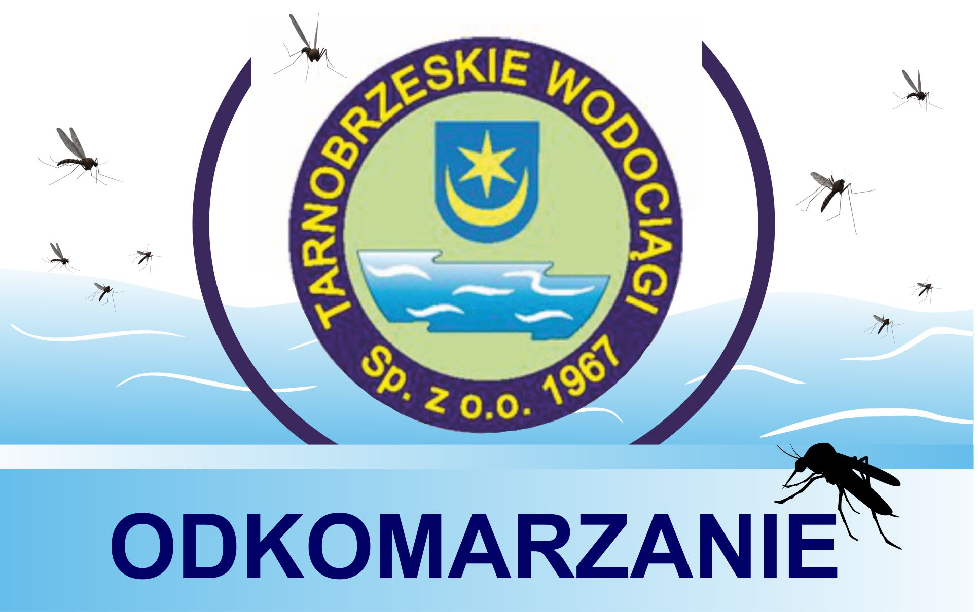 14-16 czerwca 2024 r., Spółka Tarnobrzeskie Wodociągi podejmie próby odkomarzania w mieście Tarnobrzeg